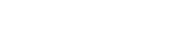 Airwiz
