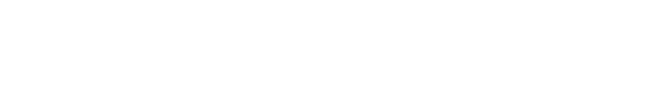Satelital Starlink
